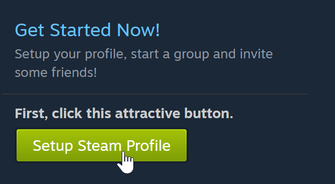 "Setup Steam profile"
